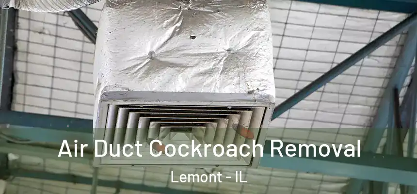 Air Duct Cockroach Removal Lemont - IL