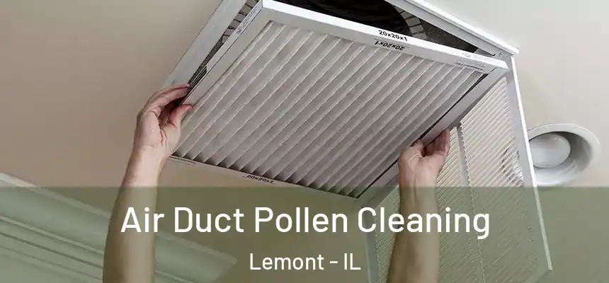 Air Duct Pollen Cleaning Lemont - IL