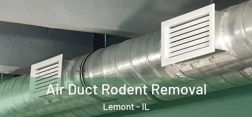 Air Duct Rodent Removal Lemont - IL