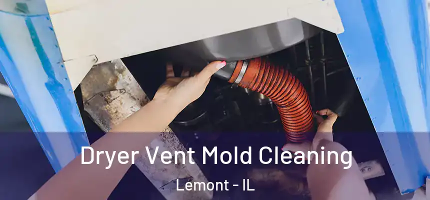Dryer Vent Mold Cleaning Lemont - IL