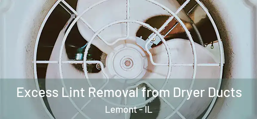 Excess Lint Removal from Dryer Ducts Lemont - IL