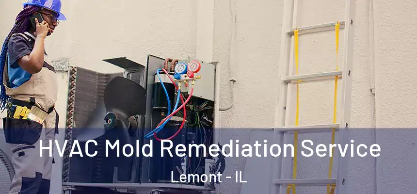 HVAC Mold Remediation Service Lemont - IL