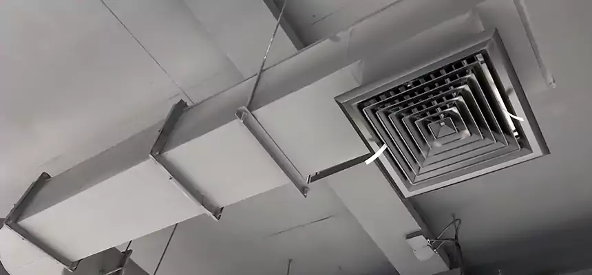 Our Pest Removal From Ducts Services in Lemont, IL