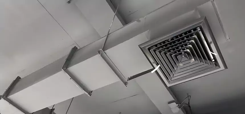 Our Rodent Droppings In Vents Services in Lemont, IL