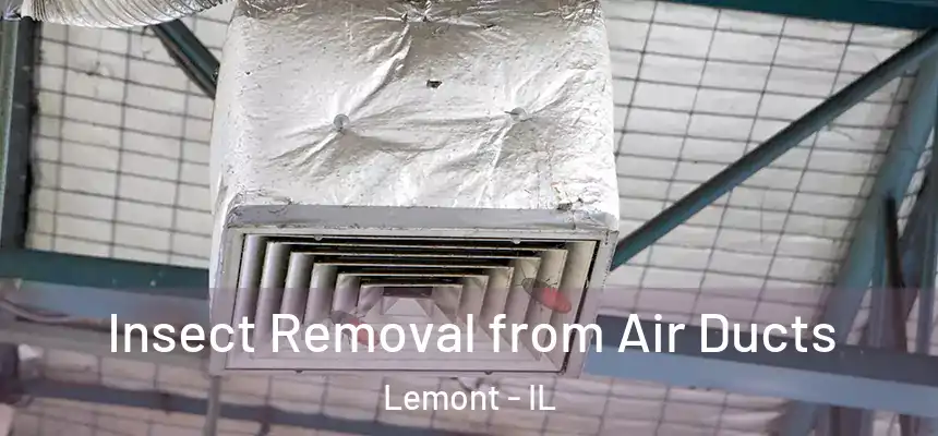 Insect Removal from Air Ducts Lemont - IL