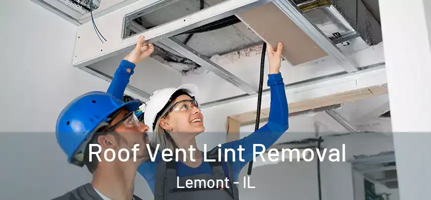 Roof Vent Lint Removal Lemont - IL