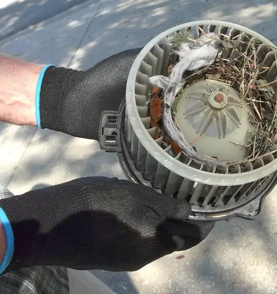 About Air Duct Mice Removal in Lemont, IL