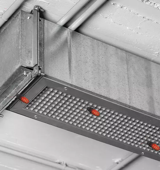 Affordable Insect Removal from Air Ducts in Lemont, IL
