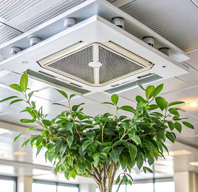 Why Homeowners & Businesses Trust Us in Lemont, IL