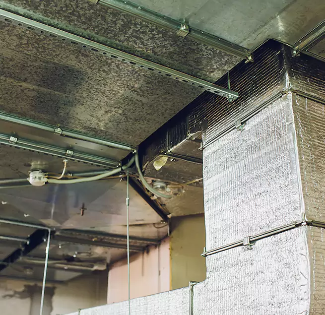 Why Homeowners & Businesses Trust Us in Lemont, IL?